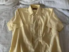 70's Sears Kings Road 半袖BDシャツ イエロー ストライプのサムネイル