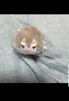 2026年最新】木葉 もちマスの人気アイテム - メルカリ