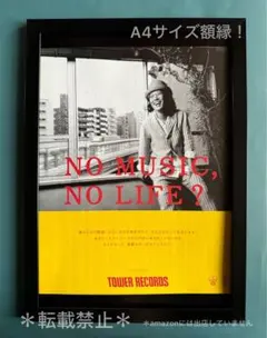 ハナレグミ/永積タカシ(A4額付き)ポスター風タワレコ額装切り抜き