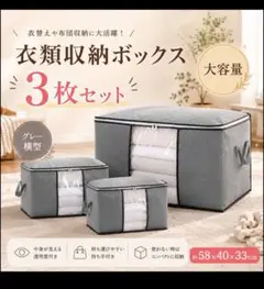 【３セット】衣類収納ケース 大容量 布団収納袋