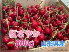 【訳あり】山形県産 さくらんぼ 紅さやか 800gのサムネイル