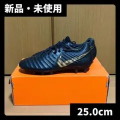 新品 激レア ナイキ サッカースパイク ティエンポ VI FG ACC 28.0