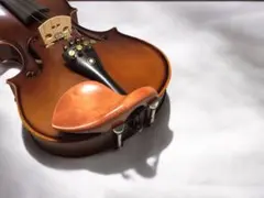 Item thumbnail for item 7e6ba019-5955-41ee-bb61-6b349aa59c1e