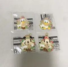 ディズニーランド　ジャングルカーニバル ストラップ4個セット
