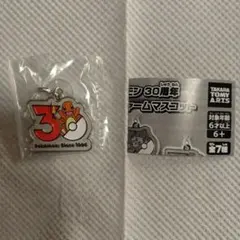 ポケモン 30周年記念メタルチャームマスコット　ヒトカゲ