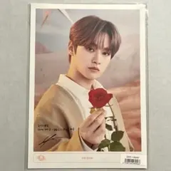 Stray kids season’s greetings シーグリ 特典 リノ