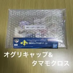 ウマ娘　シンデレラグレイ　一番くじ　G賞　アクリルボード　オグリ　タマモクロス