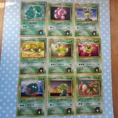 ポケモンカード　エリカ　セット　旧裏　マークなし