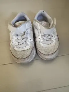 Item thumbnail for item 22d58372-8d85-41cd-aace-ec415619e560