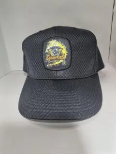 2026年最新】阪神ビールかけキャップの人気アイテム - メルカリ