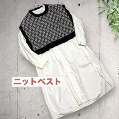 ニットベスト 重ね着スタイルに便利！！
