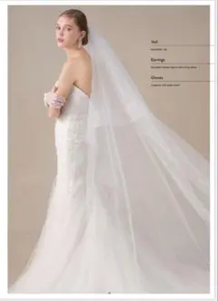 タカミブライダル　ホースヘアロングベール