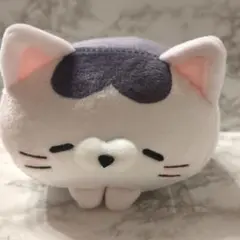 もちふわ！ ころころにゃんこ 八重山 石垣島 限定 いりおもてやまねこ