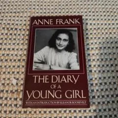 洋書 文学・小説