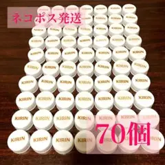 【白系】ペットボトルキャップ×70個