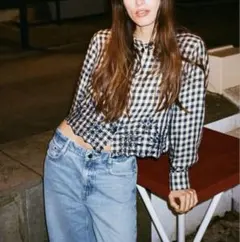 ZARA カットワーク刺繍チェック柄シャツ