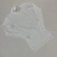 Item thumbnail for item 1d172baf-b717-4226-853e-e06c455ecfe8