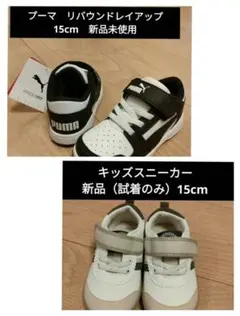 Item thumbnail for item 8bee81c1-ca31-4a9d-aed8-87f5ee2f084b