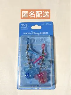 ディズニーリゾート 30周年 ミッキー ミニー ペアストラップ