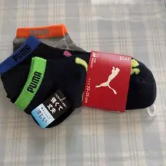 Item thumbnail for item ca33fb3e-4cc2-4da5-bc3d-9be284c5bde8