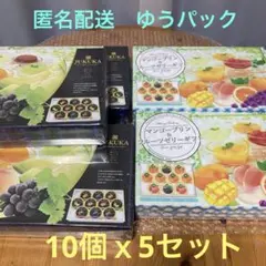 JUKUKA 金沢兼六製菓 フルーツゼリーギフトセット5箱まとめ売りのサムネイル
