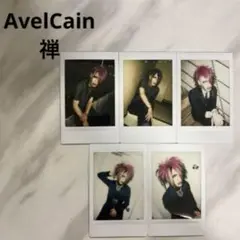 【美品】AvelCain 禅 チェキ 5枚セット V系 ヴィジュアル系 私服