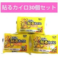 貼るカイロ レギュラー 30個入 アイリスファインプロダクツのサムネイル