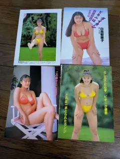白鳥智恵子　切り抜き　173ページ　おまけ付き