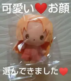ぴちぴちピッチ ぴゅあぬい 星羅 ぬいぐるみ マスコット