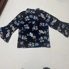 Item thumbnail for item 8ef10da7-98ee-4d1e-a0ab-d48023805256