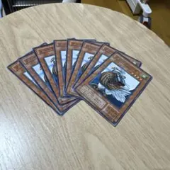 ソニックバード