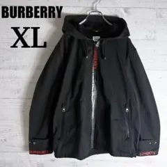 2025年最新】BURBERRY メンズ マウンテンパーカーの人気アイテム