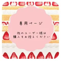 専用ページ