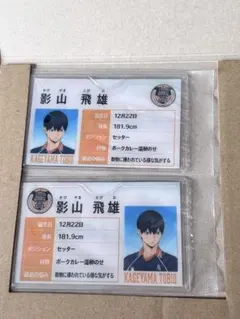 ハイキュー　影山飛雄　マイプロフケース　2枚入り