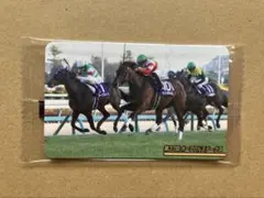 サラブレッドホースコレクション ソウルラッシュ 第41回マイル