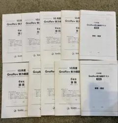 10月度 GnoRev 実力判定テスト 6年生　　二年分