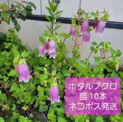 ゆうか様 リクエスト 2点 まとめ商品