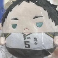 ハイキュー くじメイト　ぬいくじ C賞　ふわコロリン　Msize 赤葦