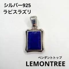 BURBERRYS✳️ラピスラズリ ヴィンテージネックレス 天然石 90s | Mercari