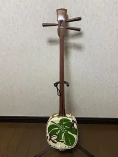 2598❣️ 沖縄　ASOVIVA ウッド　三線　セット 三線 販売｜沖縄の三線専門店【ASOVIVA】