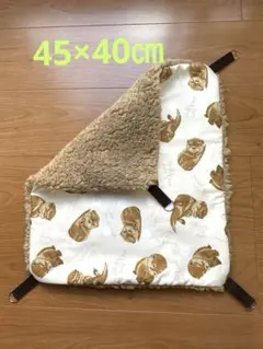 Item thumbnail for item 4c7c746e-897f-47b4-8051-0f7e5f71076a