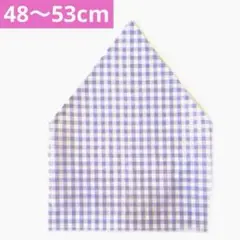 Item thumbnail for item 6fc0fcda-88c0-4271-8add-89fd4b8f556f