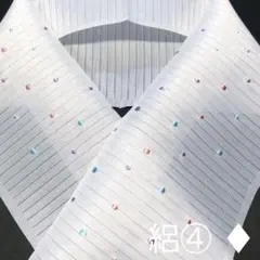 半襟 夏 絽 ④♦︎ 刺繍入り 白 × 水玉 　※新品のサムネイル