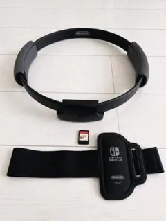 Switchリングフィットアドベンチャー ソフトケース無 リングコン箱無し
