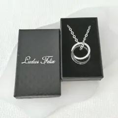 ネックレス ダブルリング サージカルステンレス アレルギー対応 メンズ