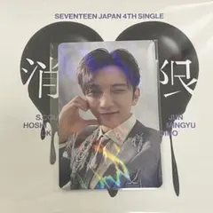 ジョシュア 消費期限 トレカ