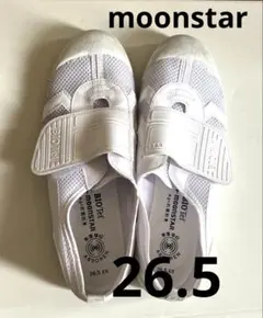 Item thumbnail for item eba83fae-3ab6-4b89-947f-4a1e0c83d9e8