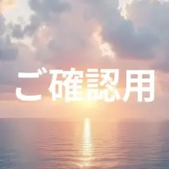 【ちゅん様ご確認用】