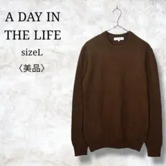 美品✨【アデイインザライフ】ブラウンニット　セーター　長袖　ウール混　L