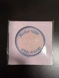 SEVENTEEN セブチ　ジュン　ワッペン　SUMMER Camp